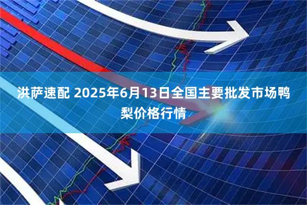洪萨速配 2025年6月13日全国主要批发市场鸭梨价格行情